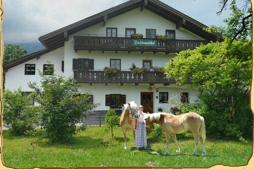 Aschauer Bachbauernhof